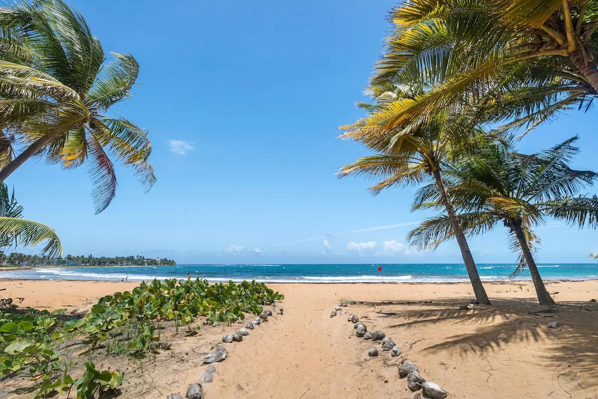 Playa de arena con palmeras y agua turquesa